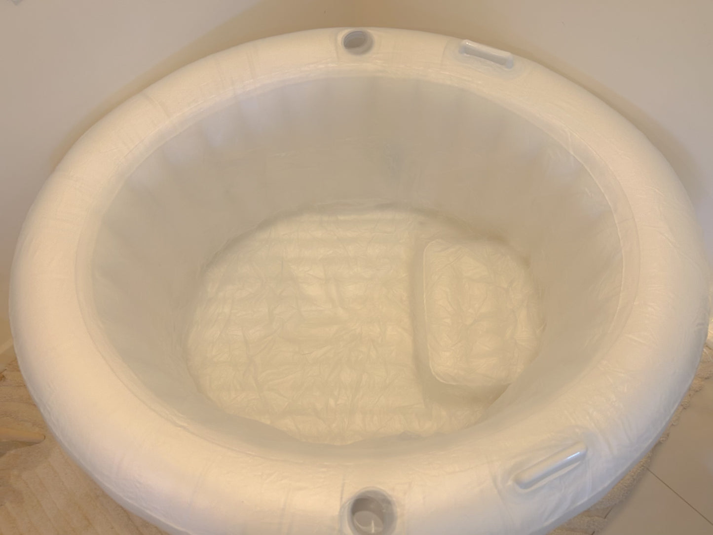 The Haven Disposable Pool Liner (10 Pack)